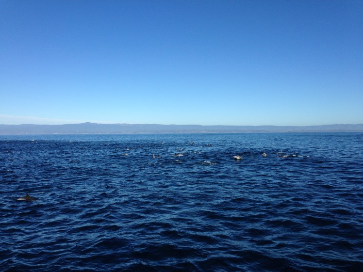 pch, pacific coast highway, pch road trip, pacific coast highway road trip, california road trip, pch road trip route, pch route