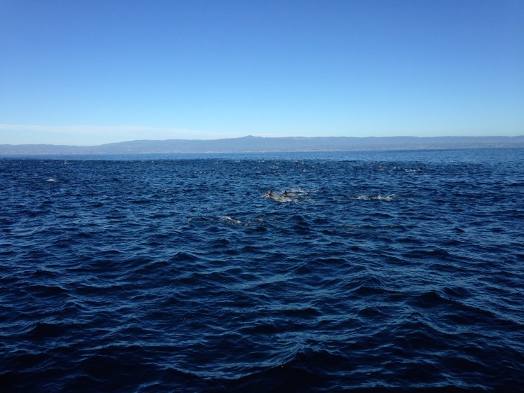 pch, pacific coast highway, pch road trip, pacific coast highway road trip, california road trip, pch road trip route, pch route