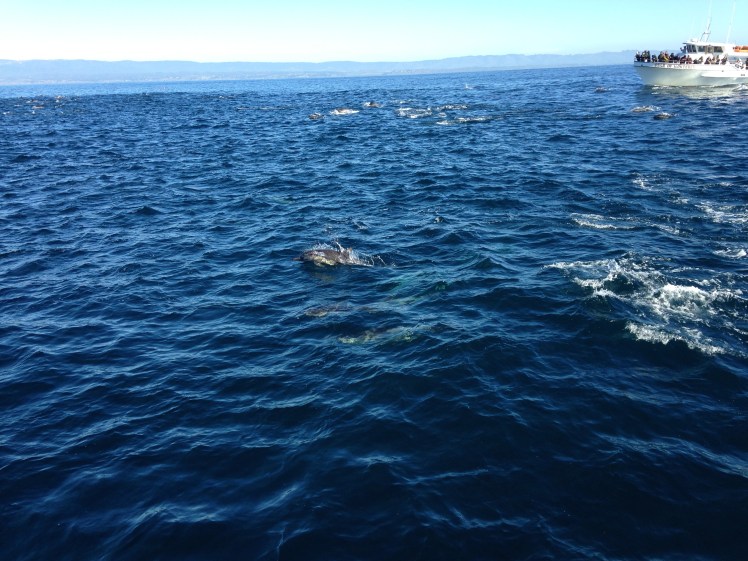 pch, pacific coast highway, pch road trip, pacific coast highway road trip, california road trip, pch road trip route, pch route