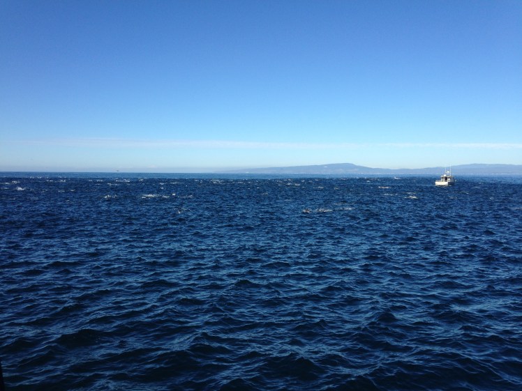 pch, pacific coast highway, pch road trip, pacific coast highway road trip, california road trip, pch road trip route, pch route