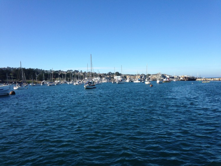 pch, pacific coast highway, pch road trip, pacific coast highway road trip, california road trip, pch road trip route, pch route