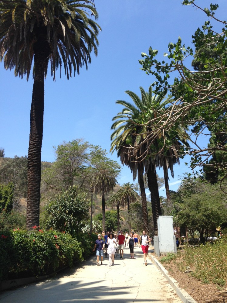 los angeles files, los angeles, los angeles photography, photography, photography blog, hollywood, west hollywood, santa monica, runyon canyon, sherman oaks, corona del mar, orange county, venice, beverly hills, dodger stadium, chinatown, downtown la, la, chinatown, malibu, pch, california