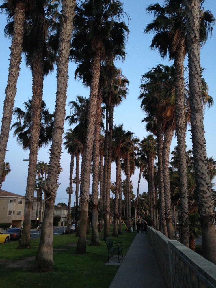 los angeles files, los angeles, los angeles photography, photography, photography blog, hollywood, west hollywood, santa monica, runyon canyon, sherman oaks, corona del mar, orange county, venice, beverly hills, dodger stadium, chinatown, downtown la, la, chinatown, malibu, pch, california