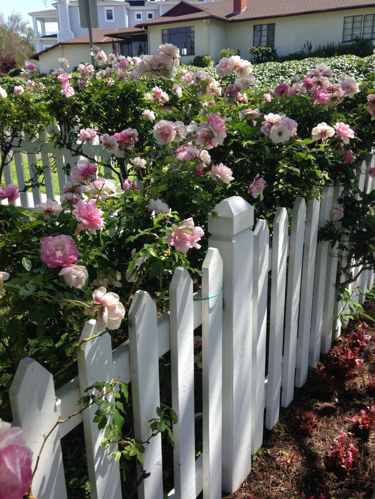 los angeles files, los angeles, los angeles photography, photography, photography blog, hollywood, west hollywood, santa monica, runyon canyon, sherman oaks, corona del mar, orange county, venice, beverly hills, dodger stadium, chinatown, downtown la, la, chinatown, malibu, pch, california