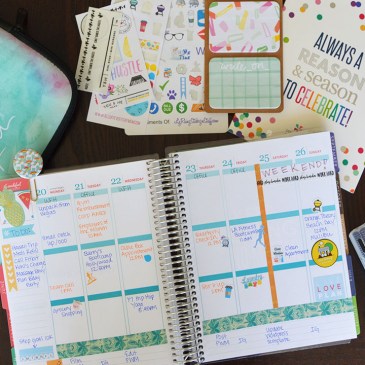 Plan With Me June 2016 | SoCal Planner Addicts Haul